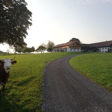 Sonnenhub Apartment Irschenberg Bagian luar foto